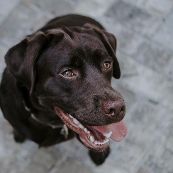 Mia Thompson - Founder of EvaronNorexHavor